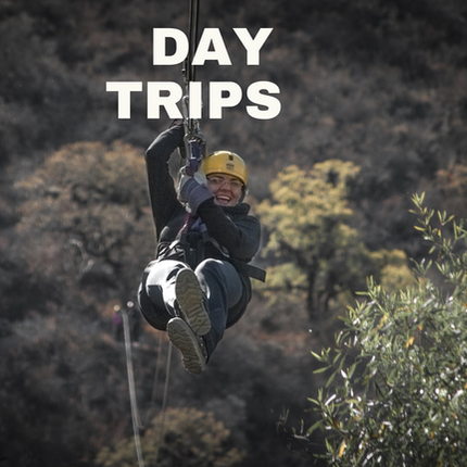 Picture of woman on zipline through woods with the words day trips