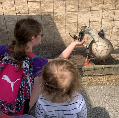2 kids feeding a duck at Suson Animal Park (STL, MO)