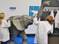 Picture of kids acting like a vet with an elephant at Myseum (STL, MO).