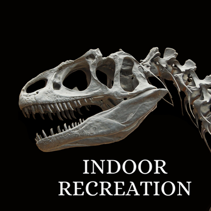 Picture of dinosaur at museum with the words indoor recreation