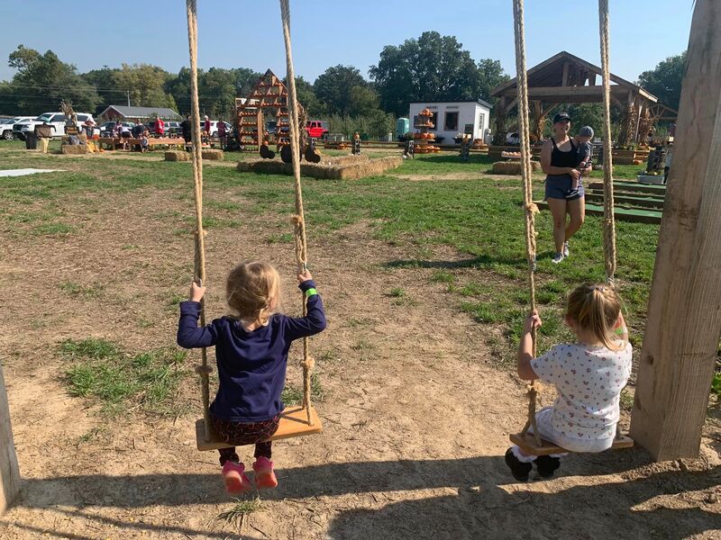 2 girls on swings at Heritage Farms and Fruit tress in Godfrey, IL