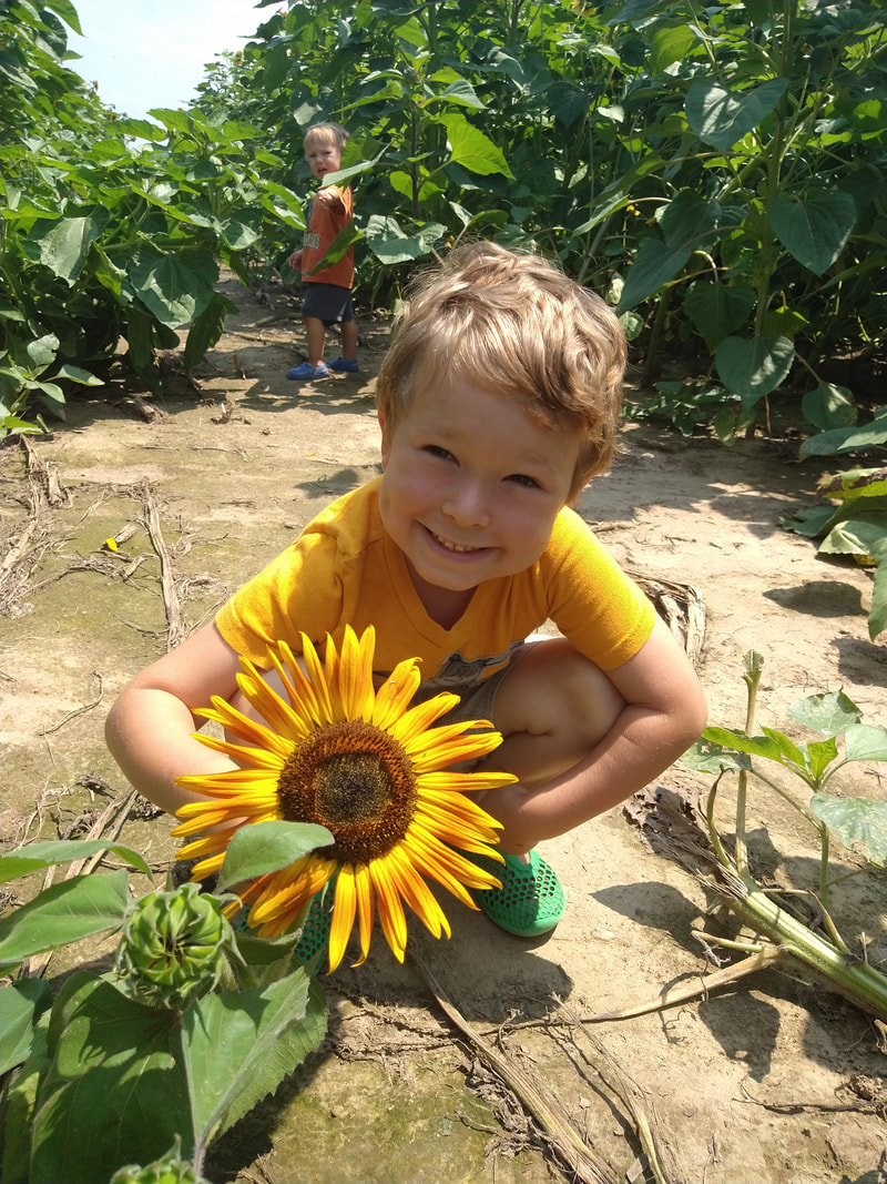 boy smiling with sunflower at Demange pumpkin Patch in St. Jacob, IL
