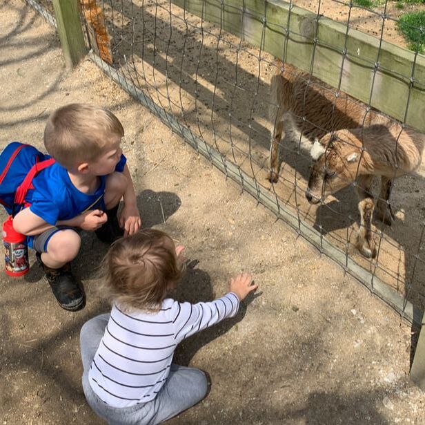 2 kids feeding a goat at Suson Animal Park (STL, MO)